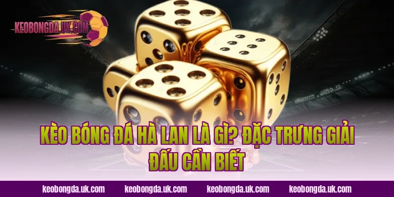 Kèo bóng đá Hà Lan là gì? Đặc trưng giải đấu cần biết