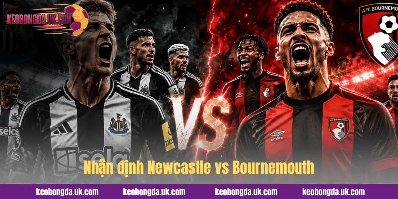 nhận định Newcastle vs Bournemouth avatar